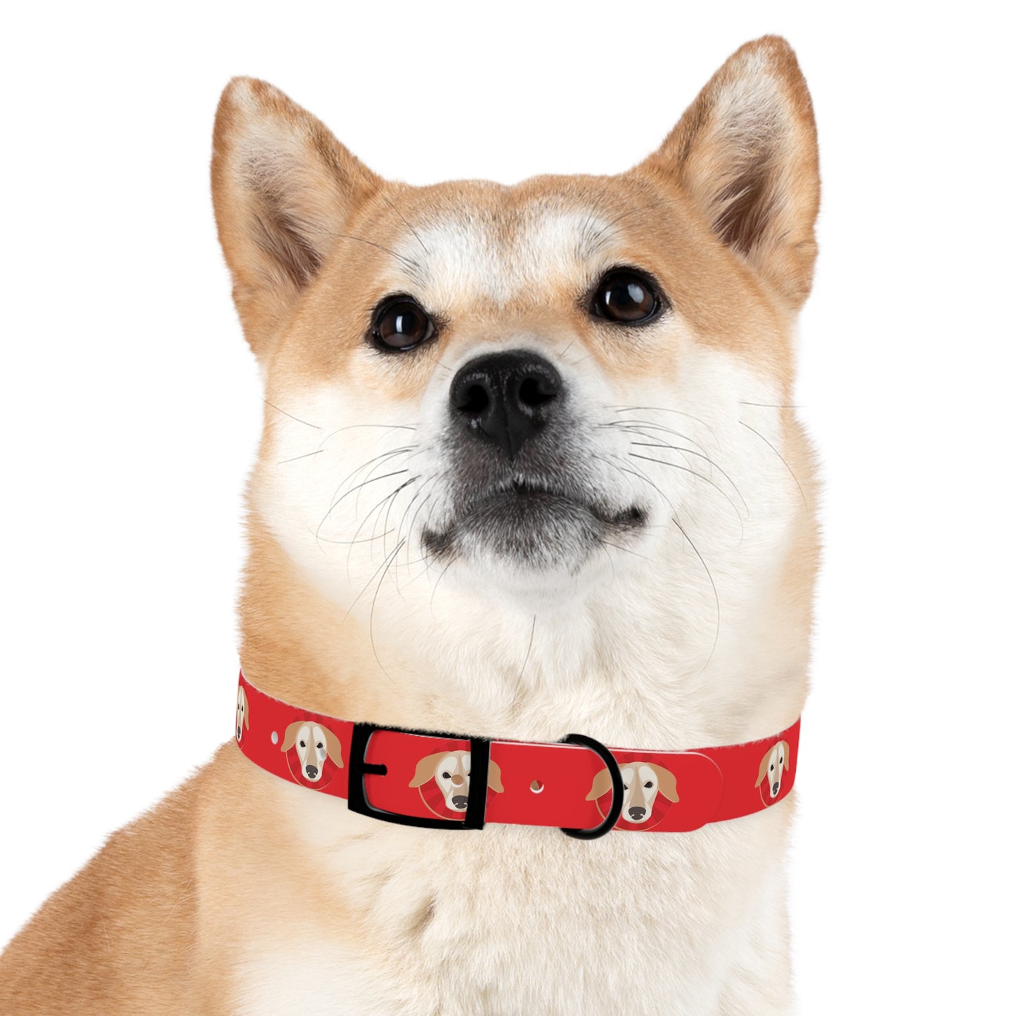 Rusty Gear Dog Collar