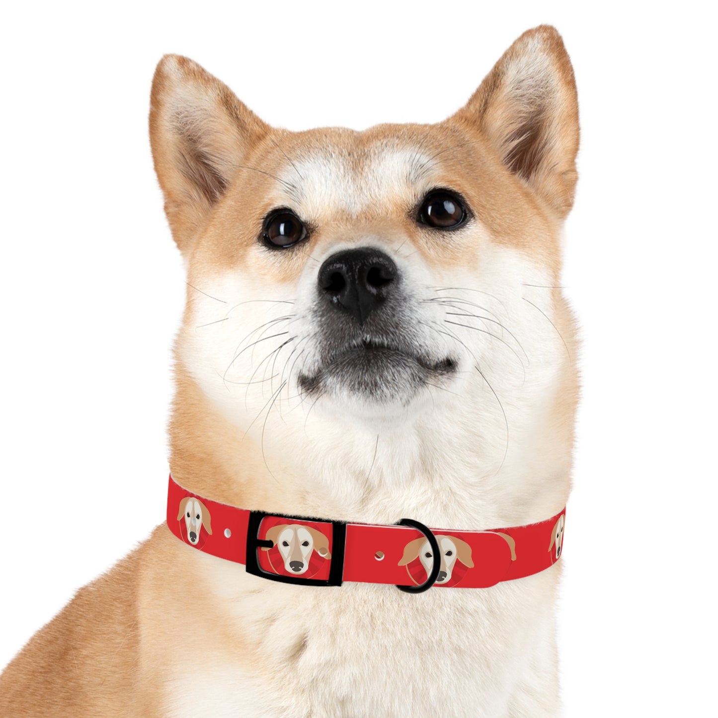 Rusty Gear Dog Collar